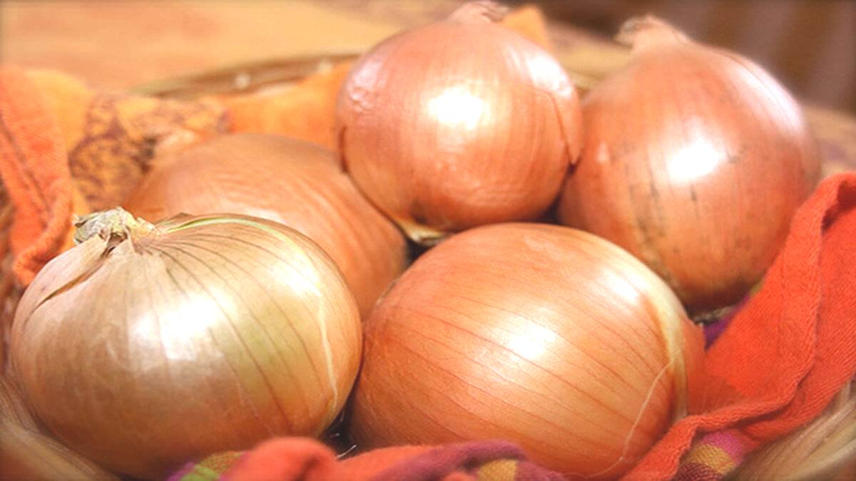 Her gün bir soğan tüketirseniz bedeninizde neler olur?