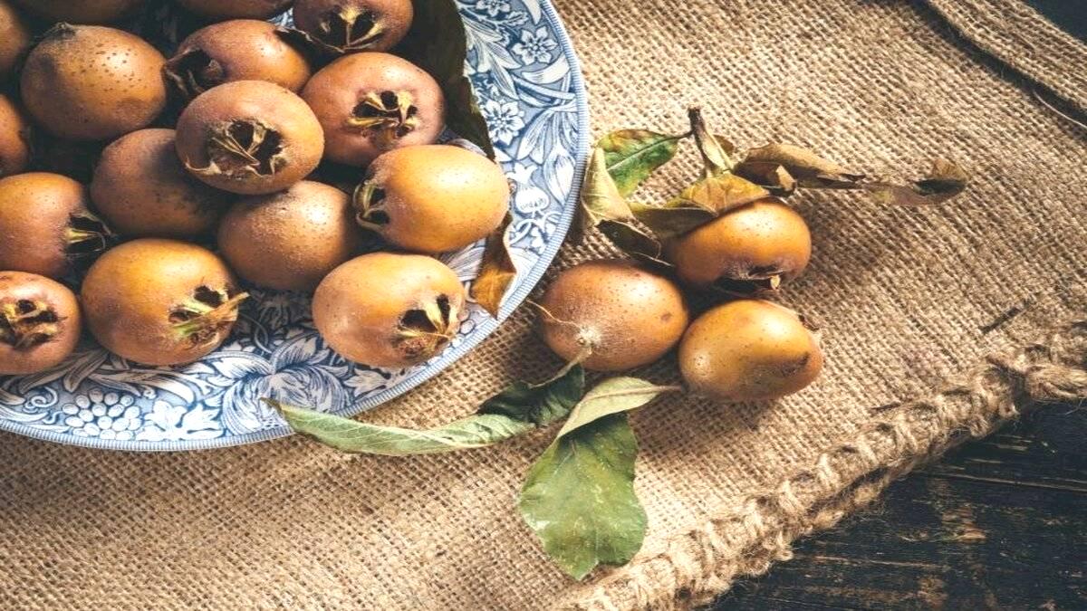 Muşmula meyvesinin bilinmeyen 8 yararı: Doğal şifa kaynağı!