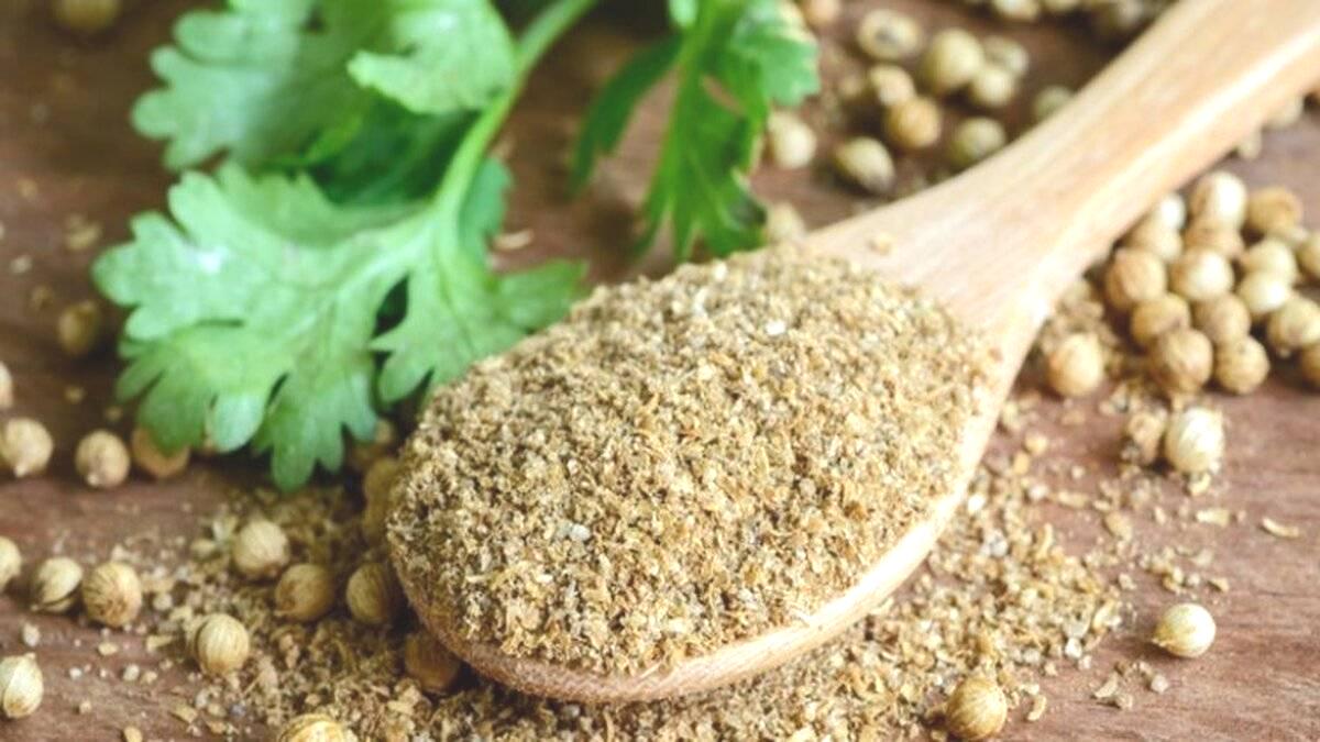Şifası saymakla bitmiyor: Kişniş