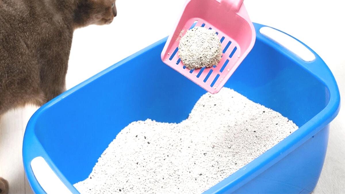 Hamilelikte bunu sakın yapmayın! Sebebi şok edecek…