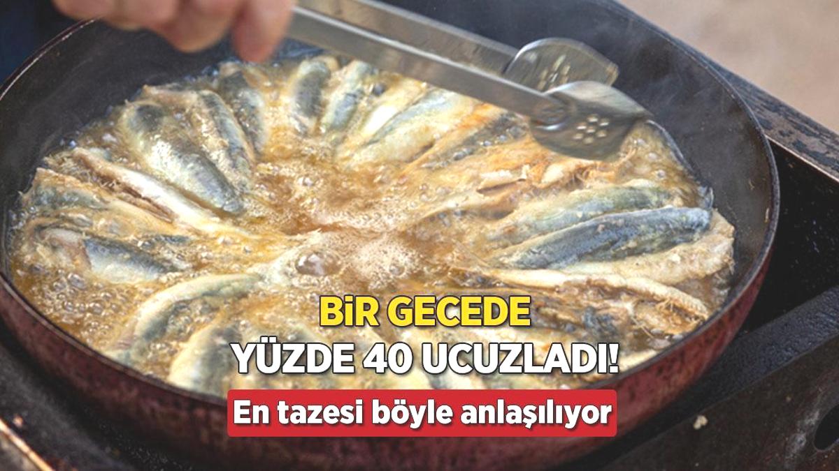 Bir gecede yüzde 40 ucuzladı! Hamsi bolluğundan geçilmiyor, en tazesi böyle anlaşılıyor