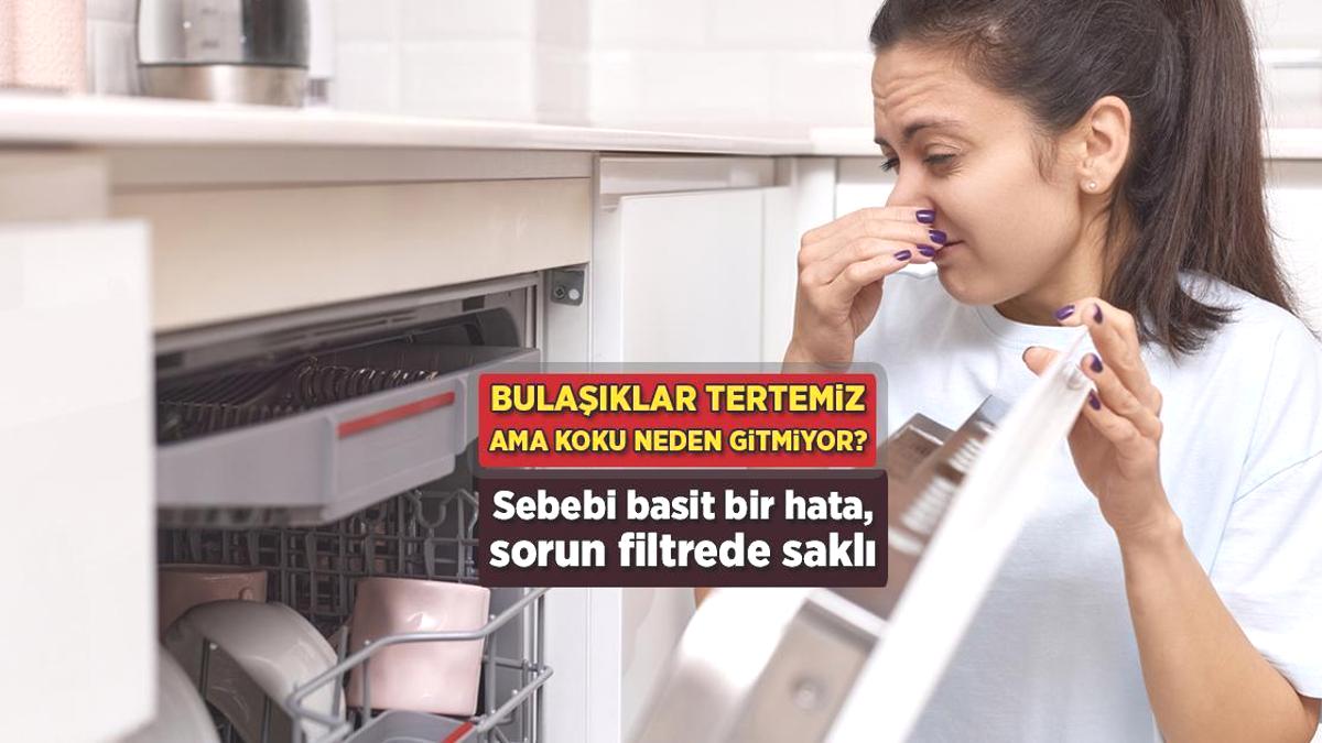 Bulaşıklar tertemiz ama yumurta gibi kokuyor! Çözümü çok basit, filtrede saklıymış