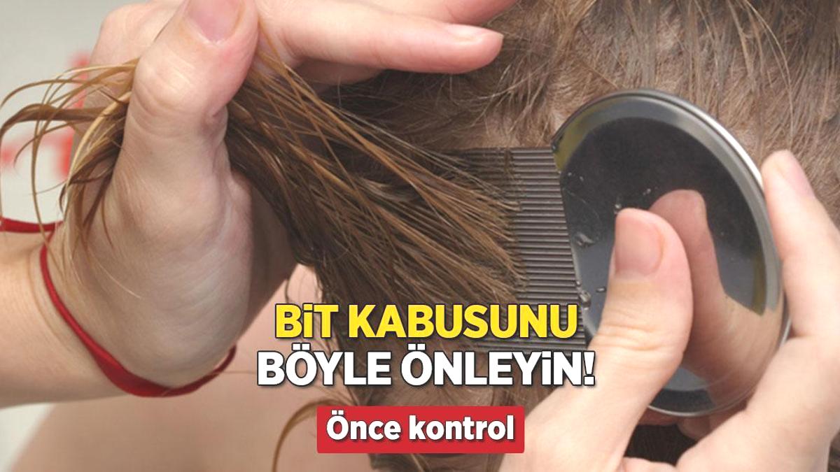 Okul başlangıcında görülen bit kabusu sona eriyor! Saçı böyle toplayan kurtulacak