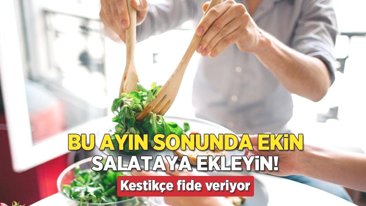 Ekim ayının sonunda eken hasadı katlıyor! Kestikçe fide veren bağışıklık dostu bitki