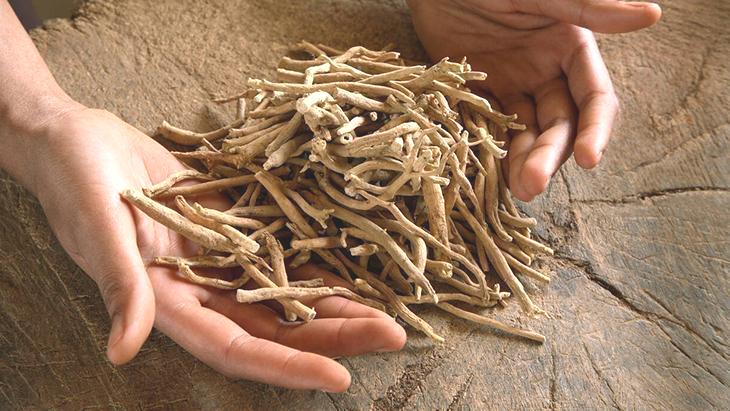 Hint tıbbından tüm dünyaya yayılan mucize! Stresi doğal yolla hafifletin