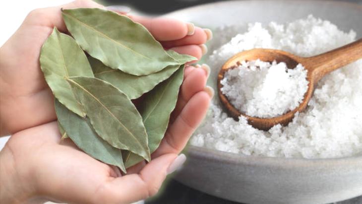 Kavanozu tuzla doldurup defne yaprağını dikin! Pencere kenarında küf bırakmıyor