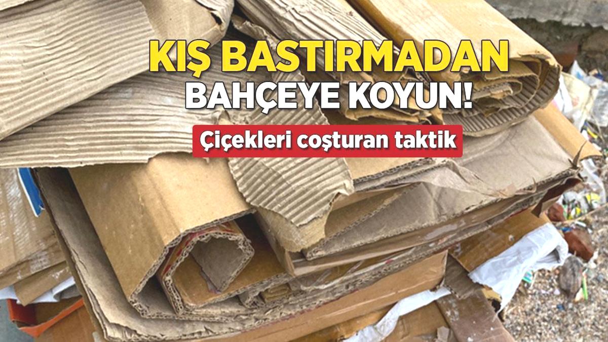 Kış gelmeden boş kolileri bahçeye atın! İlkbaharda çiçekleri coşturan bahçivan taktiği