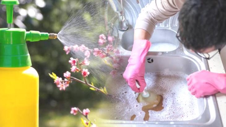 Lavabo açıcı almaya gerek yok! Tıkanan giderin çaresi böceksavardaymış