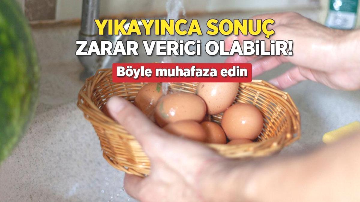 Yıkayınca sonuç: Salmonella bakterisi! Yumurtayı böyle muhafaza etmek şart