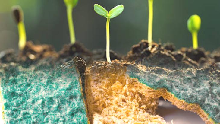 Eskiyen mutfak süngerini çöpe atmayın! Meğer böyle kullanılıyormuş: Saksı dibinde ideal