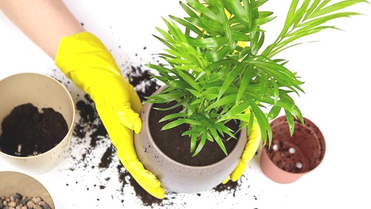 Evin tüm havası saniyeler içinde değişiyor! Dekor değil kötü enerji emici