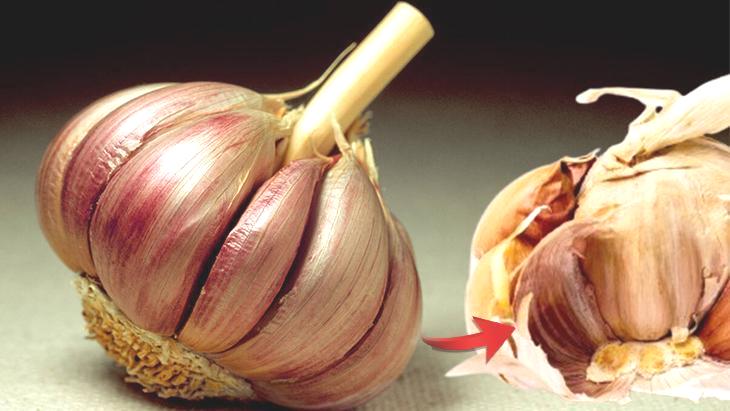 Filizlenince etkisi iki katına çıkıyor! Kahverengi olunca çöpe atılır, vitaminin en doğal hali