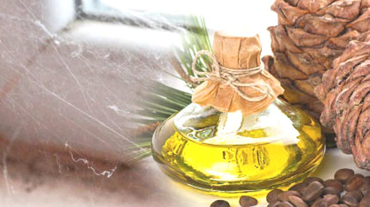 Temizlik suyuna katın! Örümcekler bir daha ağ öremiyor: Mobilyalarınızı silin