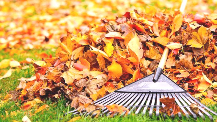 10 derece ve 3 gün kuralı: Çim bakımında uzmanların altın formülü