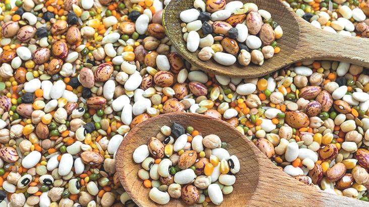 100 yaşını aşanların uzun yaşam sırrı! Günde yarım fincan tüketmek ömrü uzatabilir