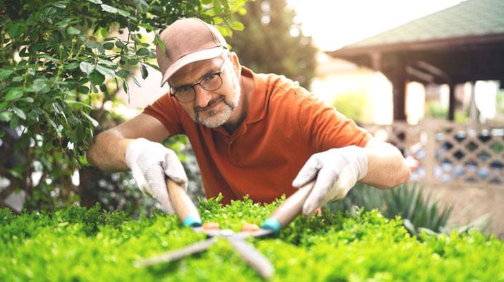 Bahar aylarında bahçeyi cennete çeviren taktik! Yabani çiçekler önemliymiş