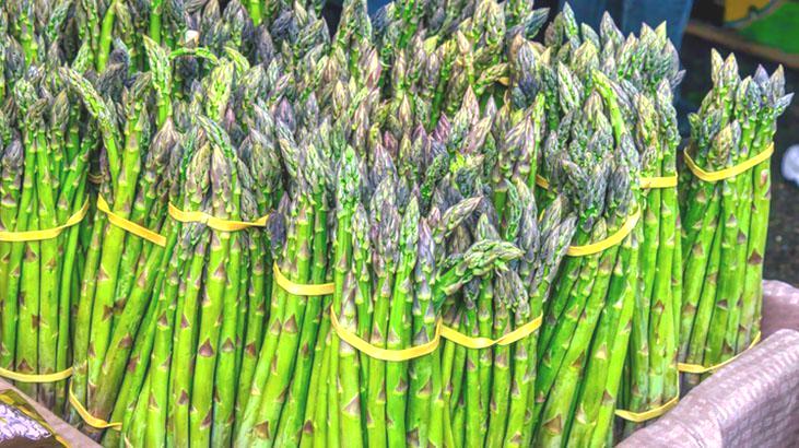 Bitkiyi ek ve unut! 20 yıl durmadan kazandırıyor, hasat zamanında cebi dolduran taktik