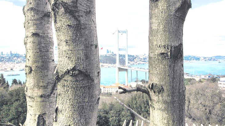 Gençler İstanbul’a bakınca ne görüyor?