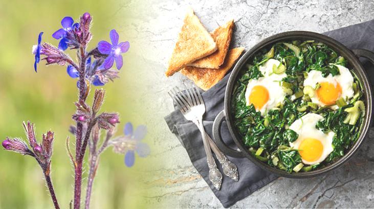 Kaldirik mevsimi geldi! Tezgahta bulan yumurtaları kırsın: Protein deposu