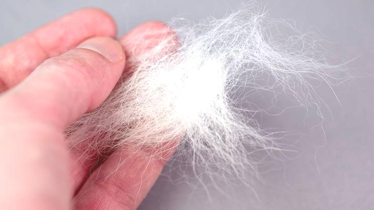 Tüy kabusu sona eriyor! Evcil hayvan sahiplerinin yüzünü güldürecek minik tüyo