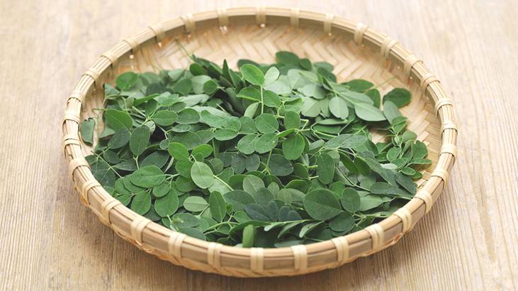 Moringa, suyun içindeki bütün mikroplastiği temizliyor! Su arıtımında yeni dönem olabilir mi?