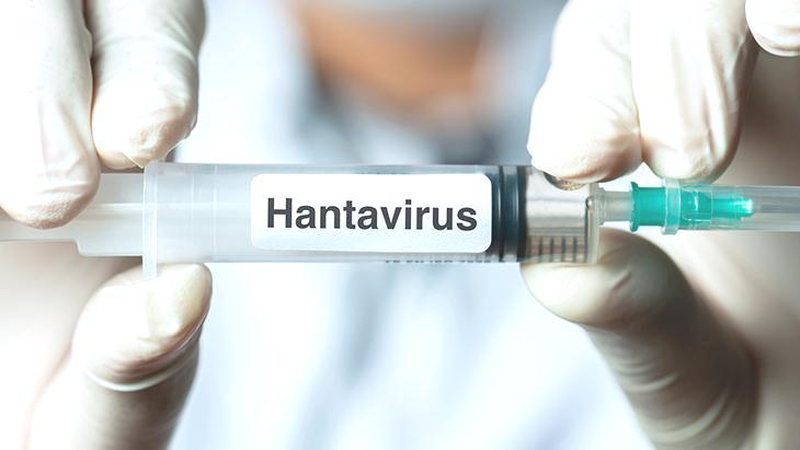 Üç ölüm sonrası gözler hantavirüste! Salgın riski var mı?