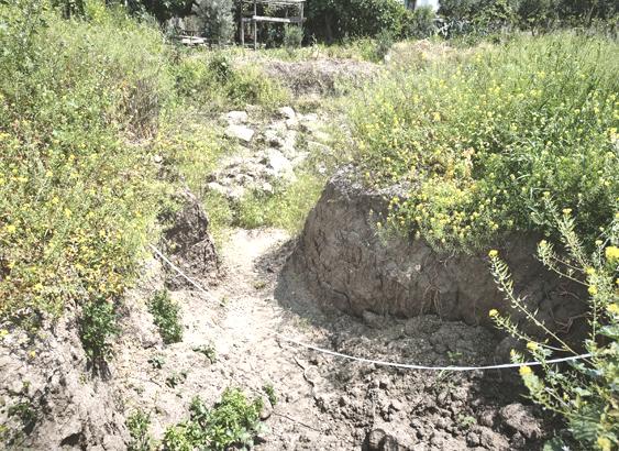 Villa yapılacaktı, altından tarih fışkırdı! Mersin’de 8 Roma mezarı bulundu